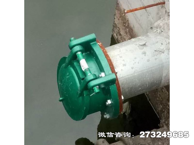 徐汇污水管道玻璃钢拍门