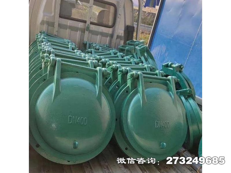 徐汇排污口玻璃钢拍门