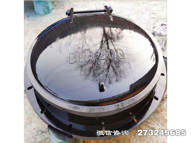 徐汇防倒灌玻璃钢拍门