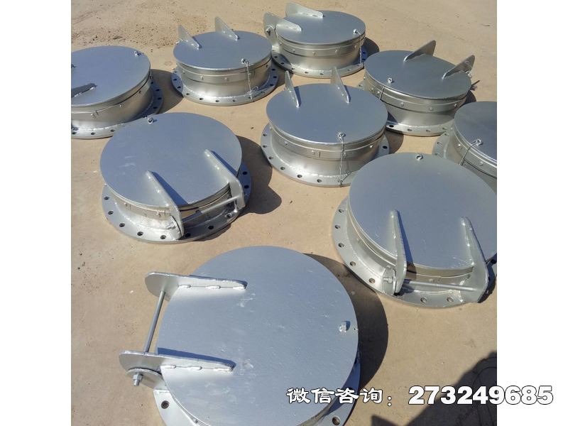 徐汇悬挂式不锈钢拍门