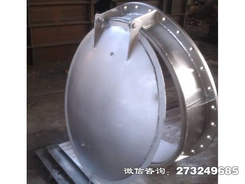 徐汇316L不锈钢拍门