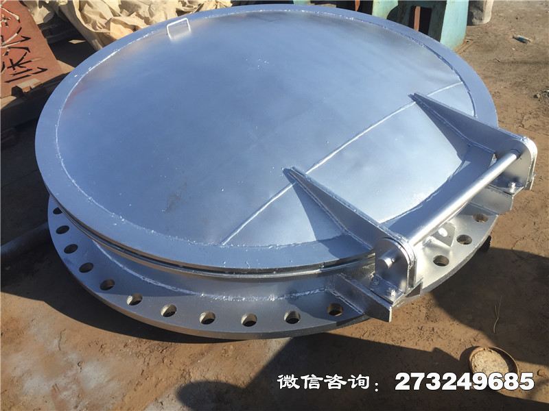 徐汇不锈钢止回拍门