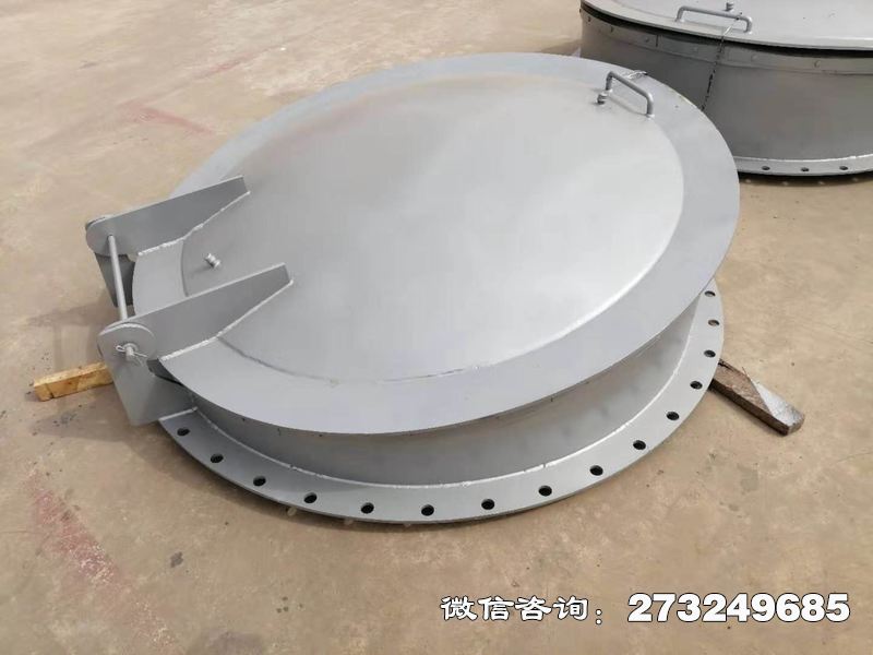 徐汇不锈钢逆止拍门