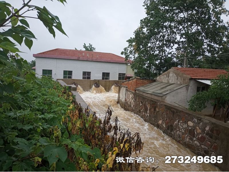 徐汇泵站应急涵闸