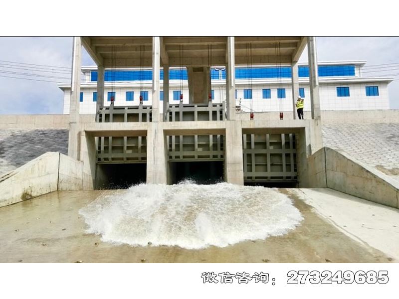 徐汇应急排涝泵站闸门