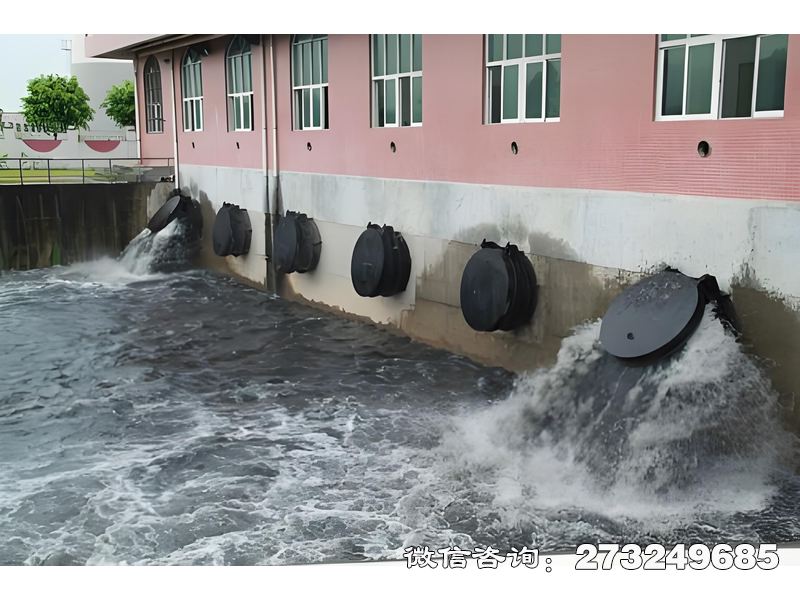 徐汇河口潮门拍门