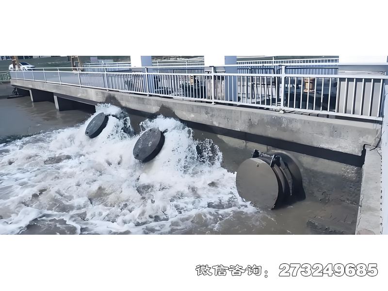 广平内河潮门拍门