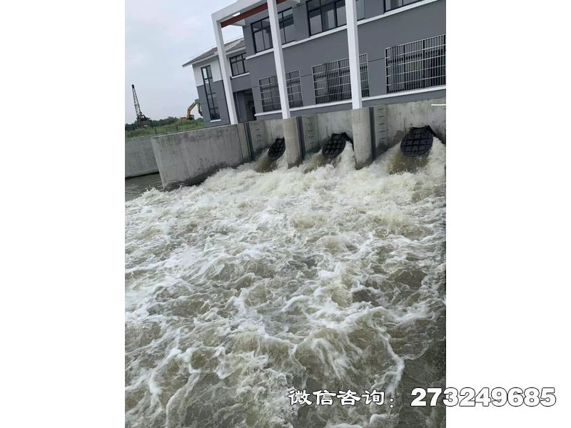 徐汇防潮堤潮门拍门