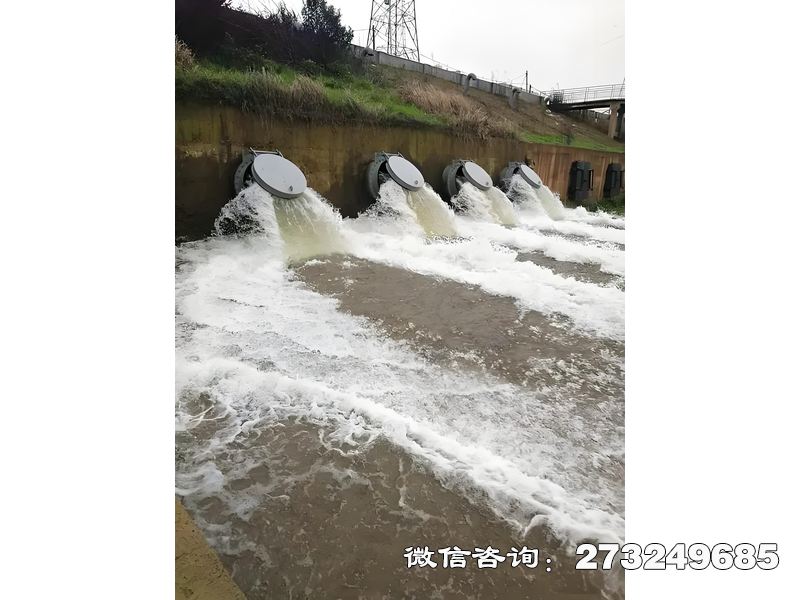 广平排水管网末端潮门拍门