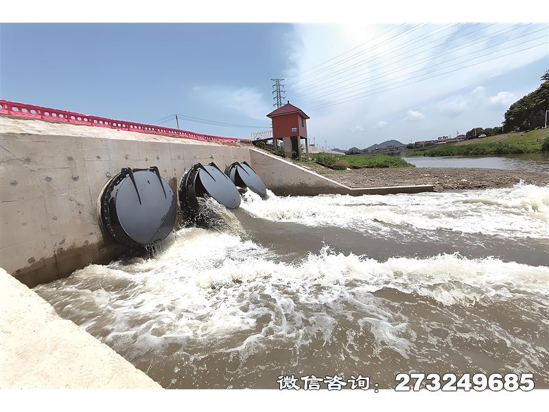 广平蓄滞洪区潮门拍门