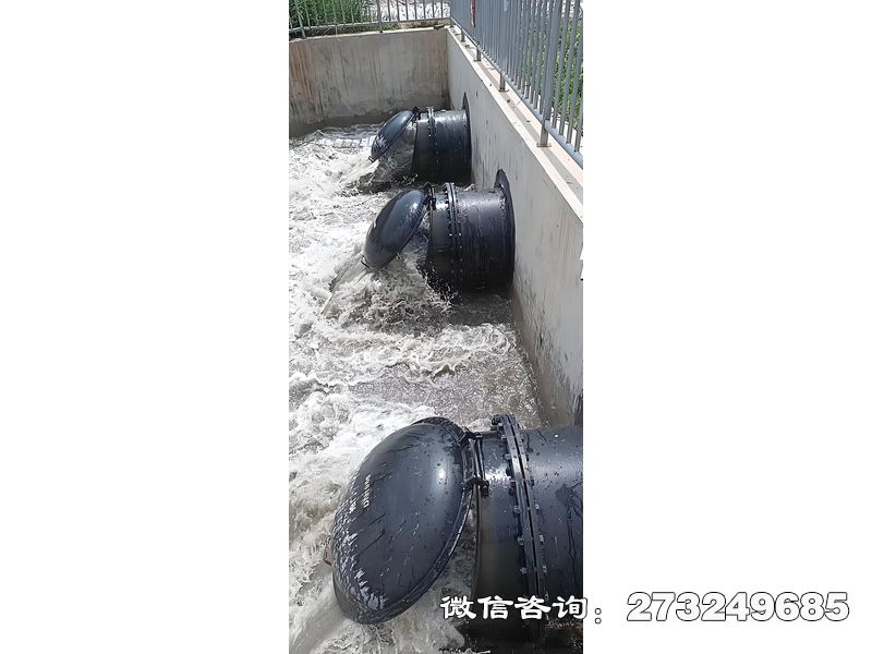 广平污水处理厂潮门拍门