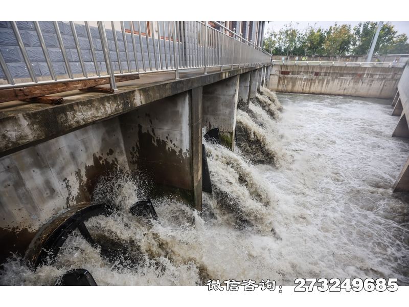 广平水库溢洪道潮门拍门