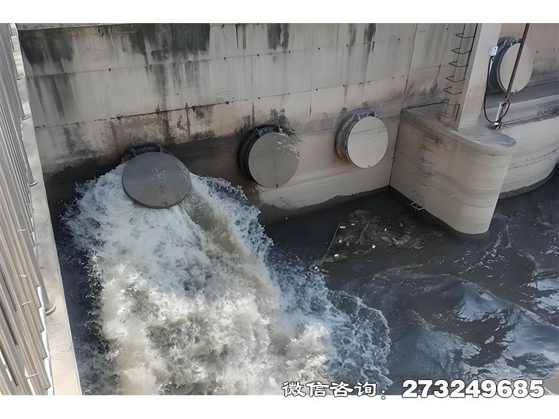 徐汇隧道排水口潮门拍门