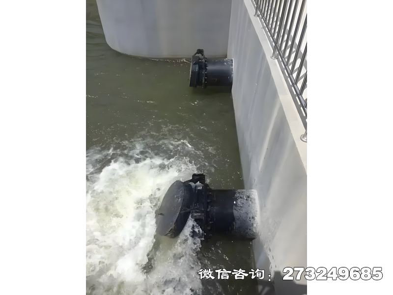 徐汇河道潮门拍门