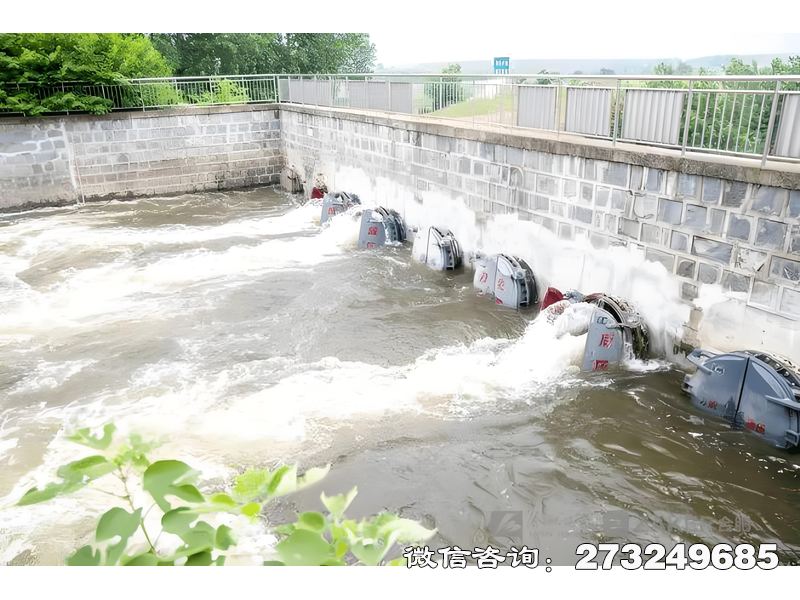 徐汇河道防洪堤排水潮门拍门