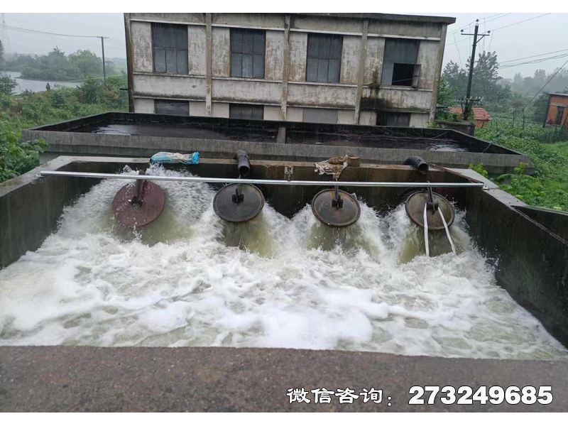 徐汇行洪区退水口潮门拍门