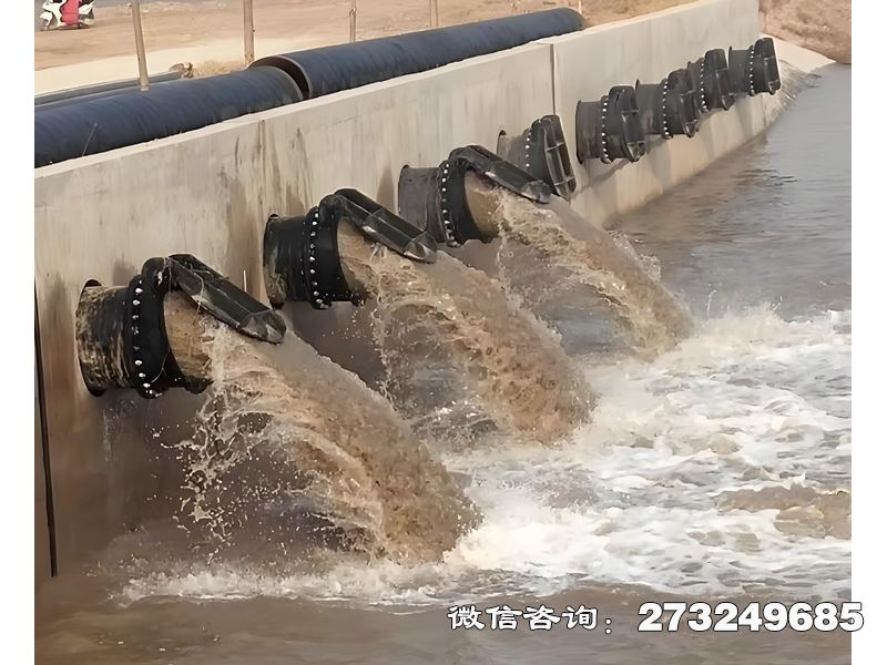 徐汇蓄滞洪区分洪闸潮门拍门
