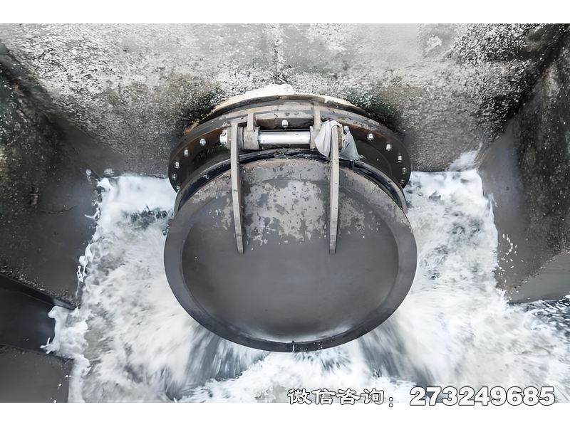 徐汇河道排水潮门拍门