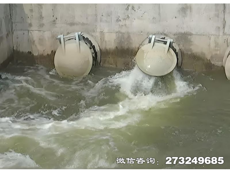 徐汇河道生态护岸排水潮门拍门