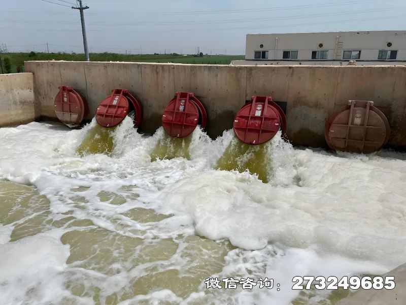 徐汇河口整治工程潮门拍门