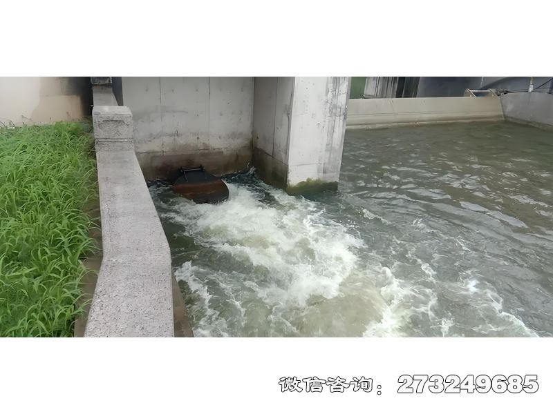 徐汇海塘防潮闸潮门拍门