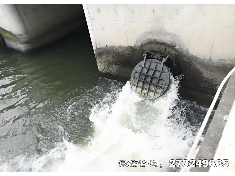 海洋防潮堤拍门