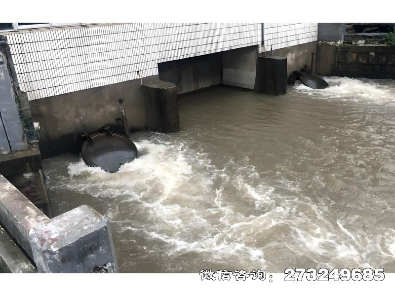 徐汇泵站潮门拍门