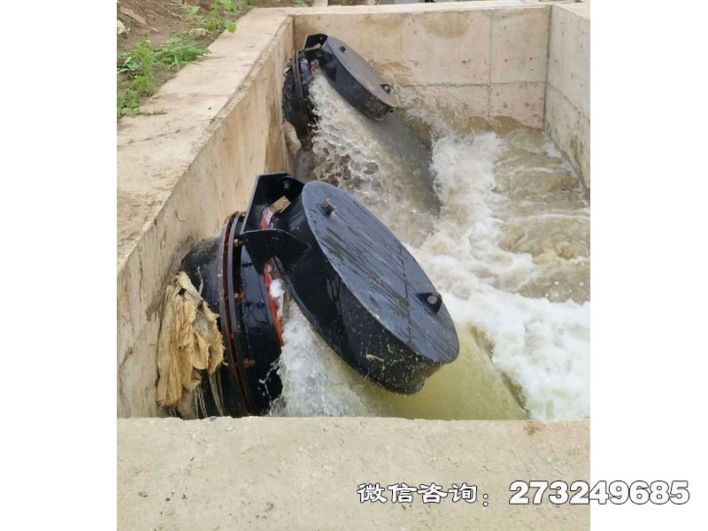 徐汇水库潮门拍门