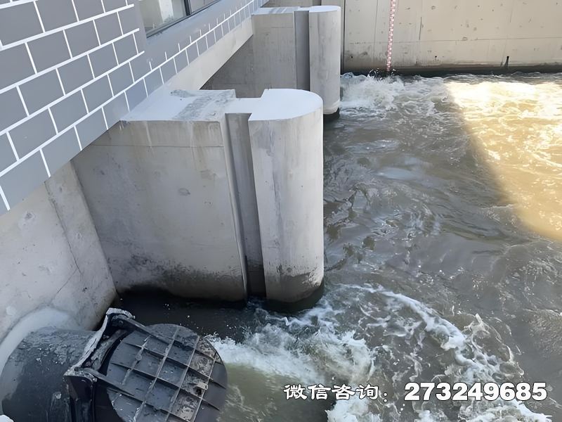 徐汇灌区潮门拍门