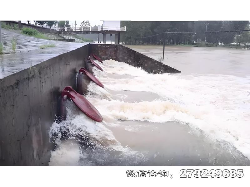 徐汇城市排水系统潮门拍门