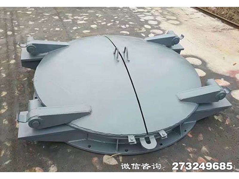 沿海防潮钢制拍门