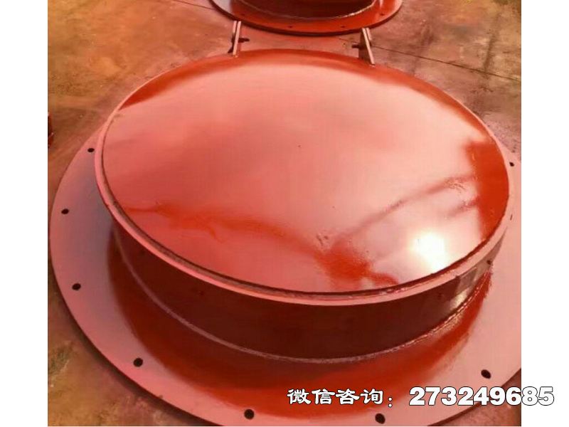 上海潮汐电站钢制拍门