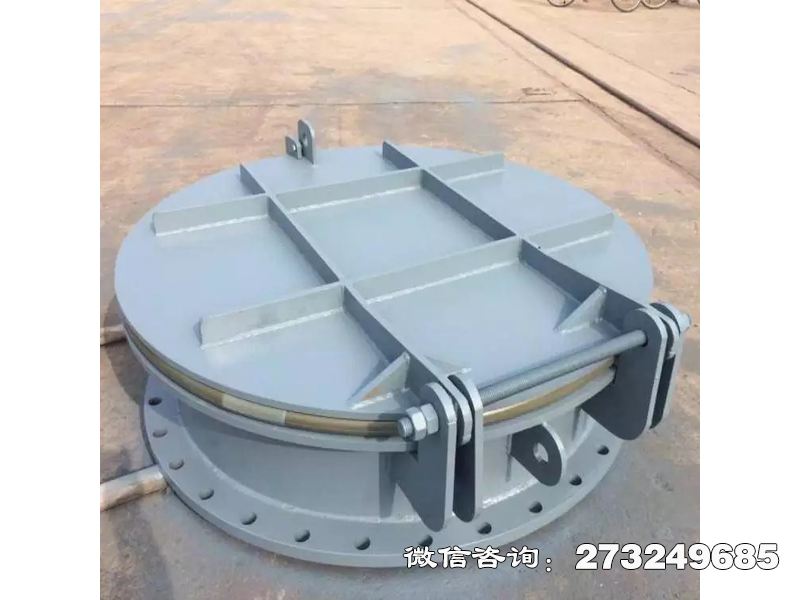 上海水源保护钢制拍门