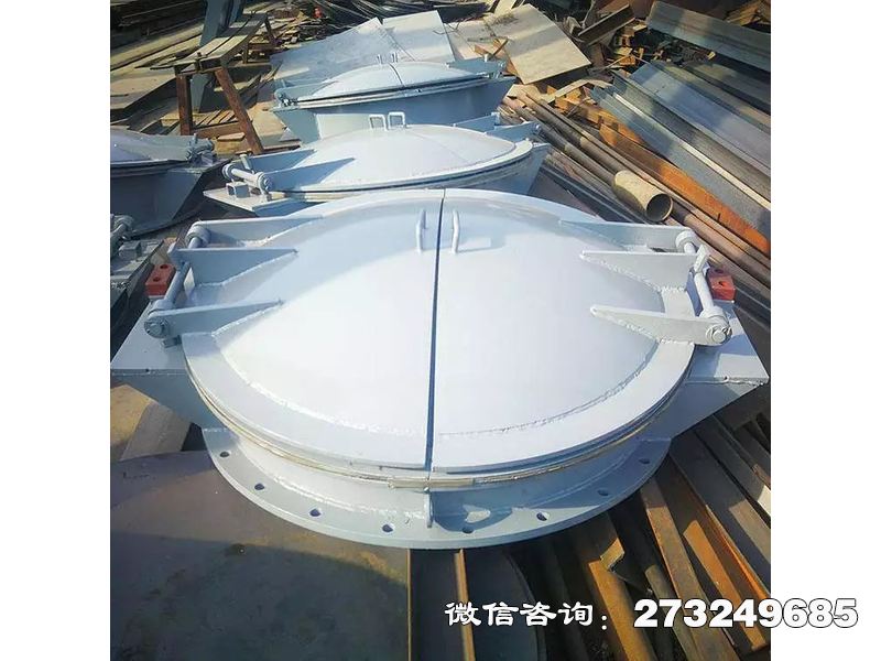 上海水务局钢制防洪拍门