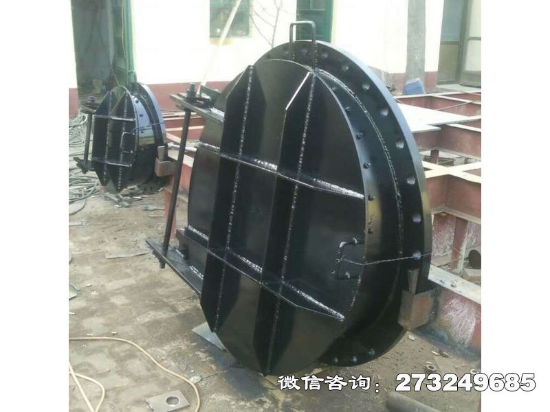 上海防汛部钢制应急拍门