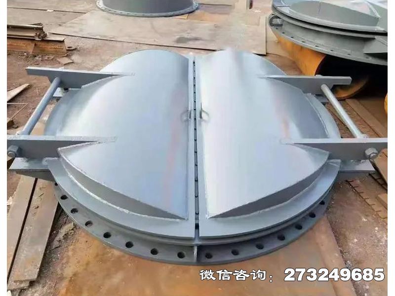 伽师县防潮钢制海堤拍门