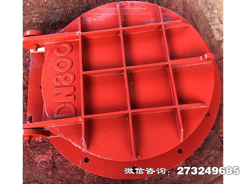 伽师县止回钢制管道拍门