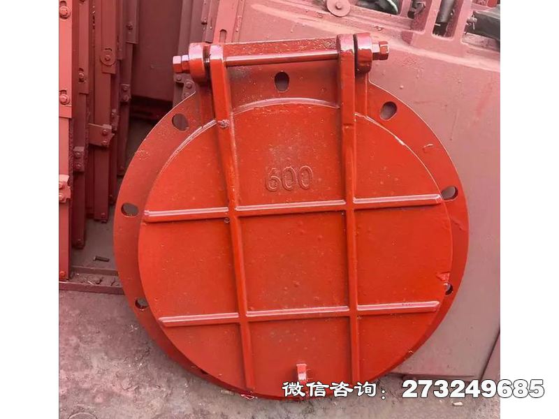 伽师县耐腐钢制污水拍门