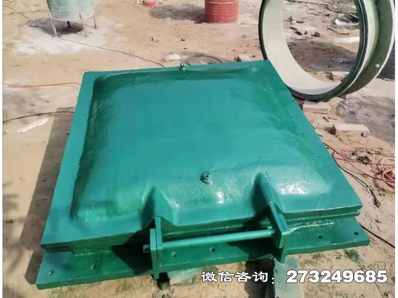 徐汇河道钢制排水拍门