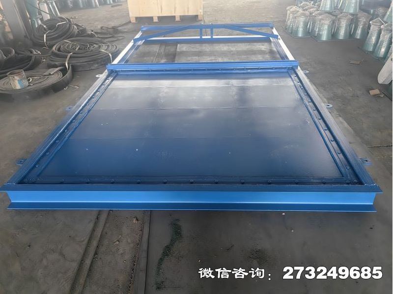 徐汇潮汐分水钢制闸门