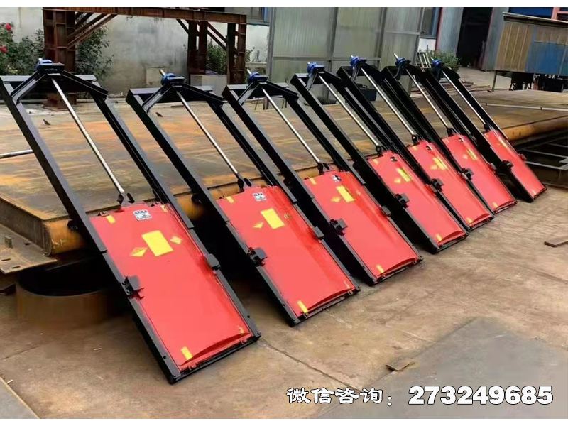 徐汇内河生态护岸机闸一体门