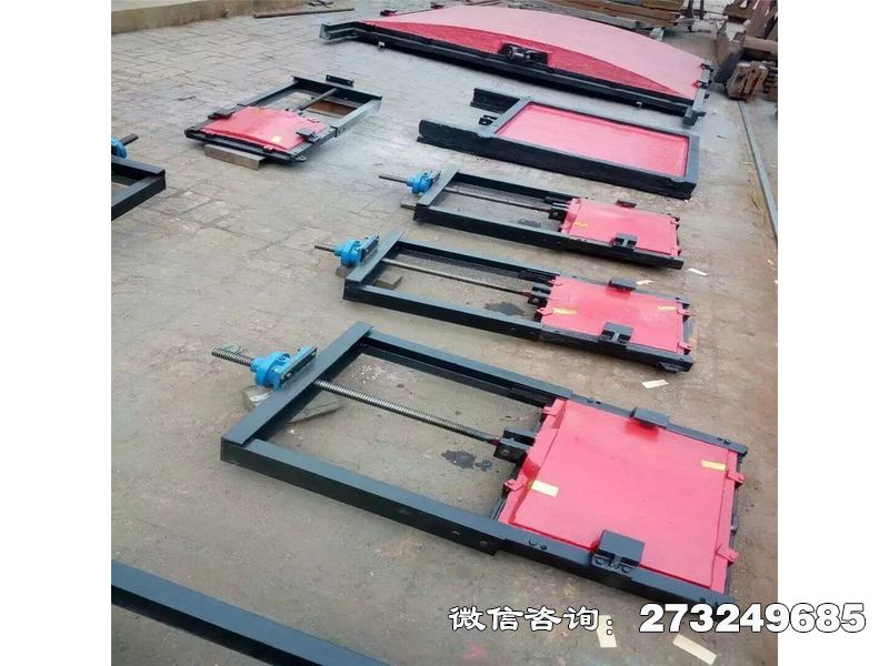 徐汇蓄滞洪区应急分洪门机闸一体门