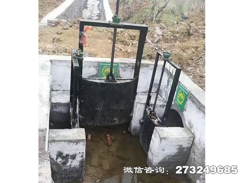 徐汇分水灌渠机闸一体闸门