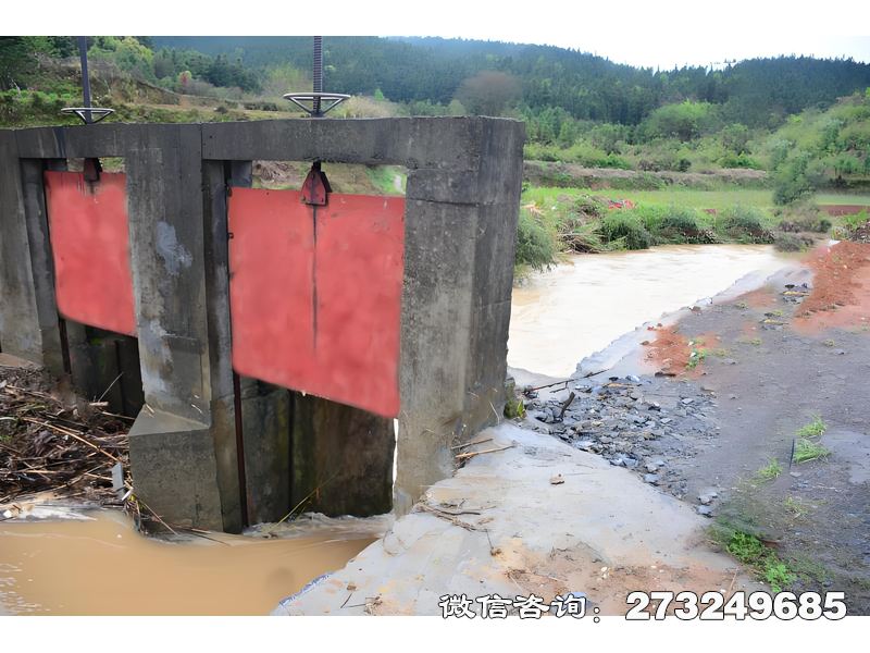 徐汇支渠分水闸