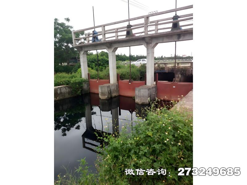 防洪防潮双向闸