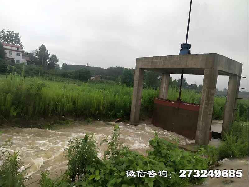 排涝灌溉双功能闸
