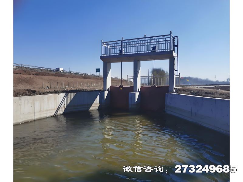 渠道进水闸