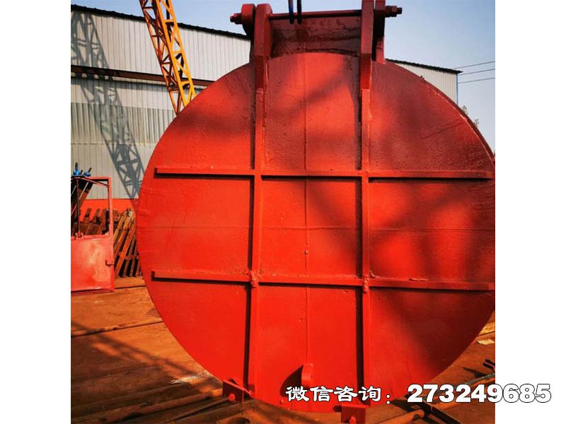 铸铁圆形分流拍门