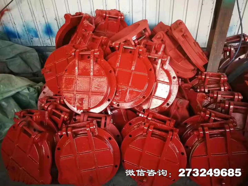 徐汇铸铁圆形泵站拍门