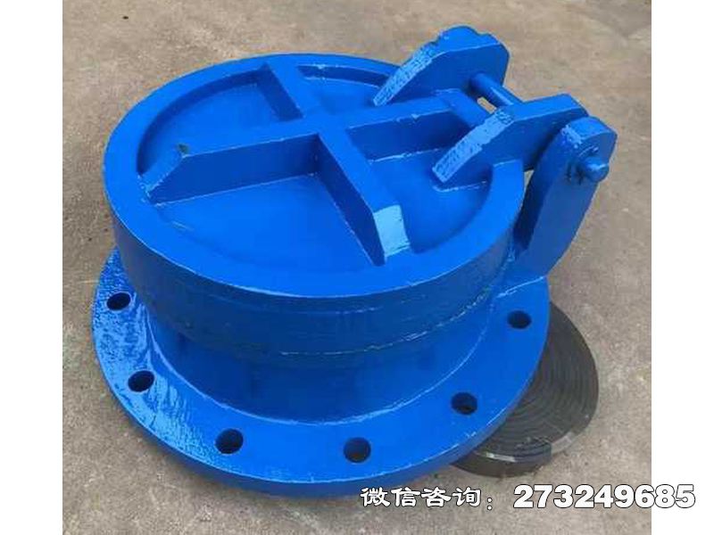 徐汇铸铁圆型截污拍门